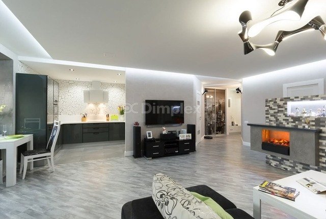 Електрокамін Dimplex Juneau. Фото 3