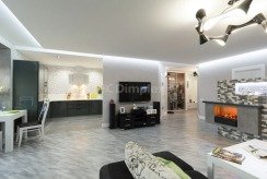 Електрокамін Dimplex Juneau. Фото 3